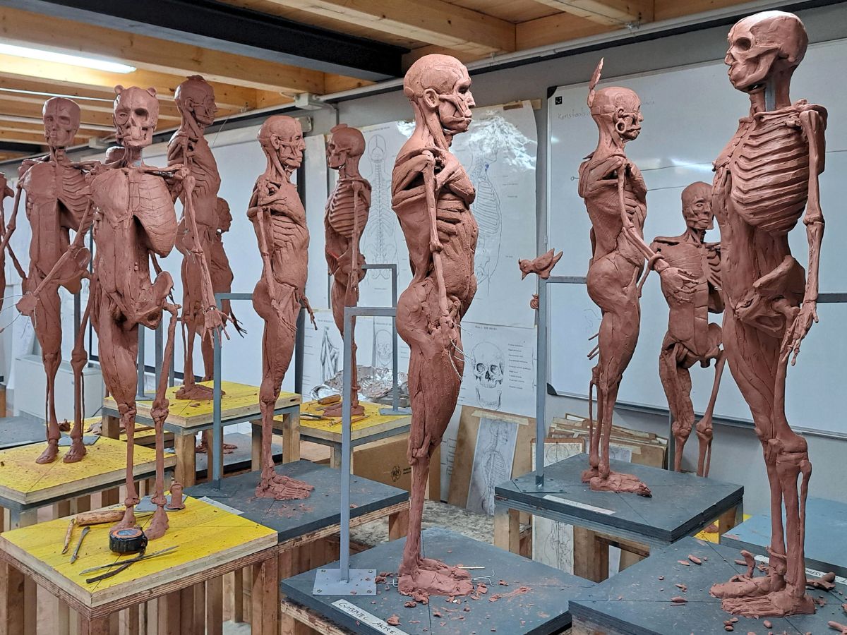Marie Smith Sculpture - Florence Academy of Art - Ecorche Anatomy Room 1