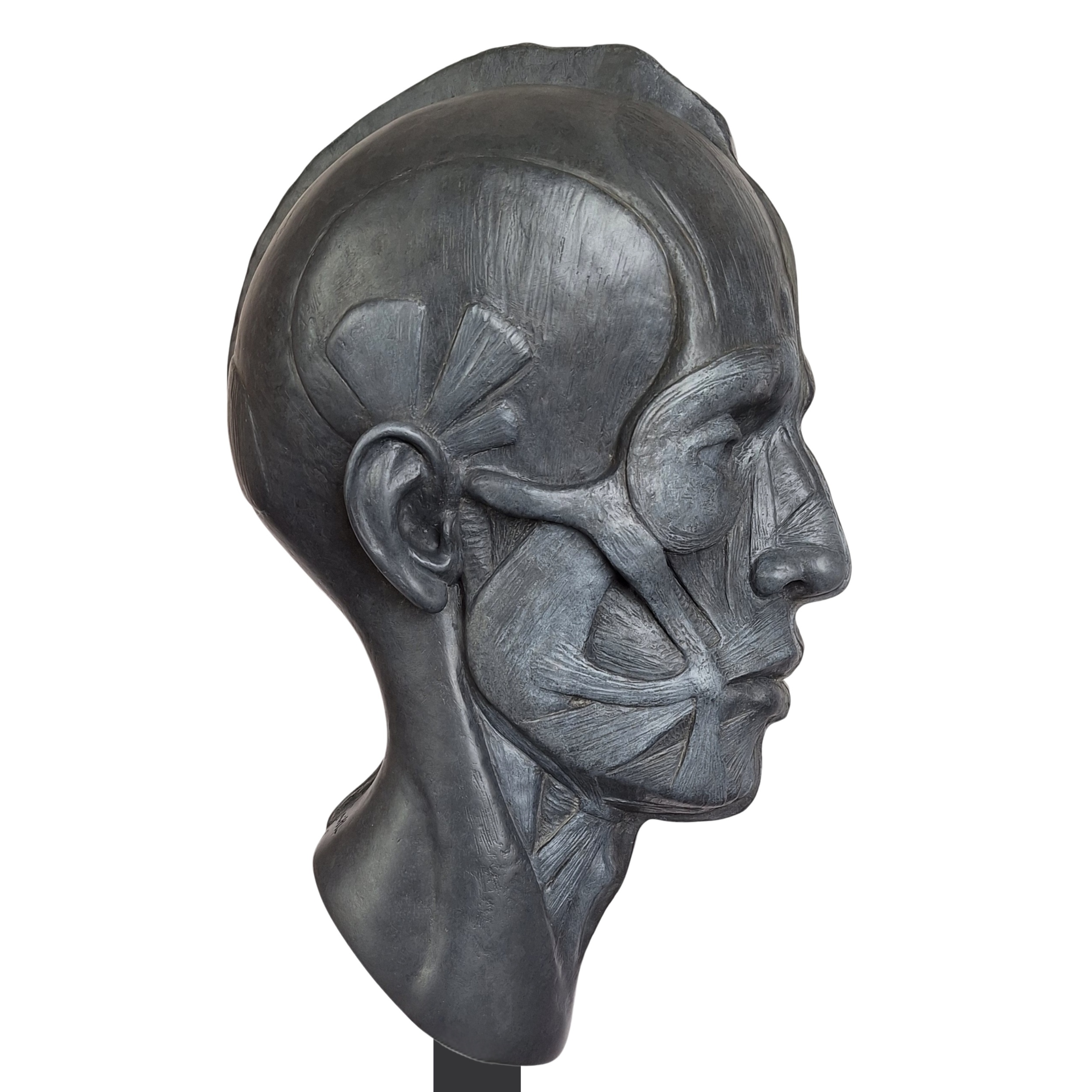 Adam - The Mechanics of Origin - Image 3