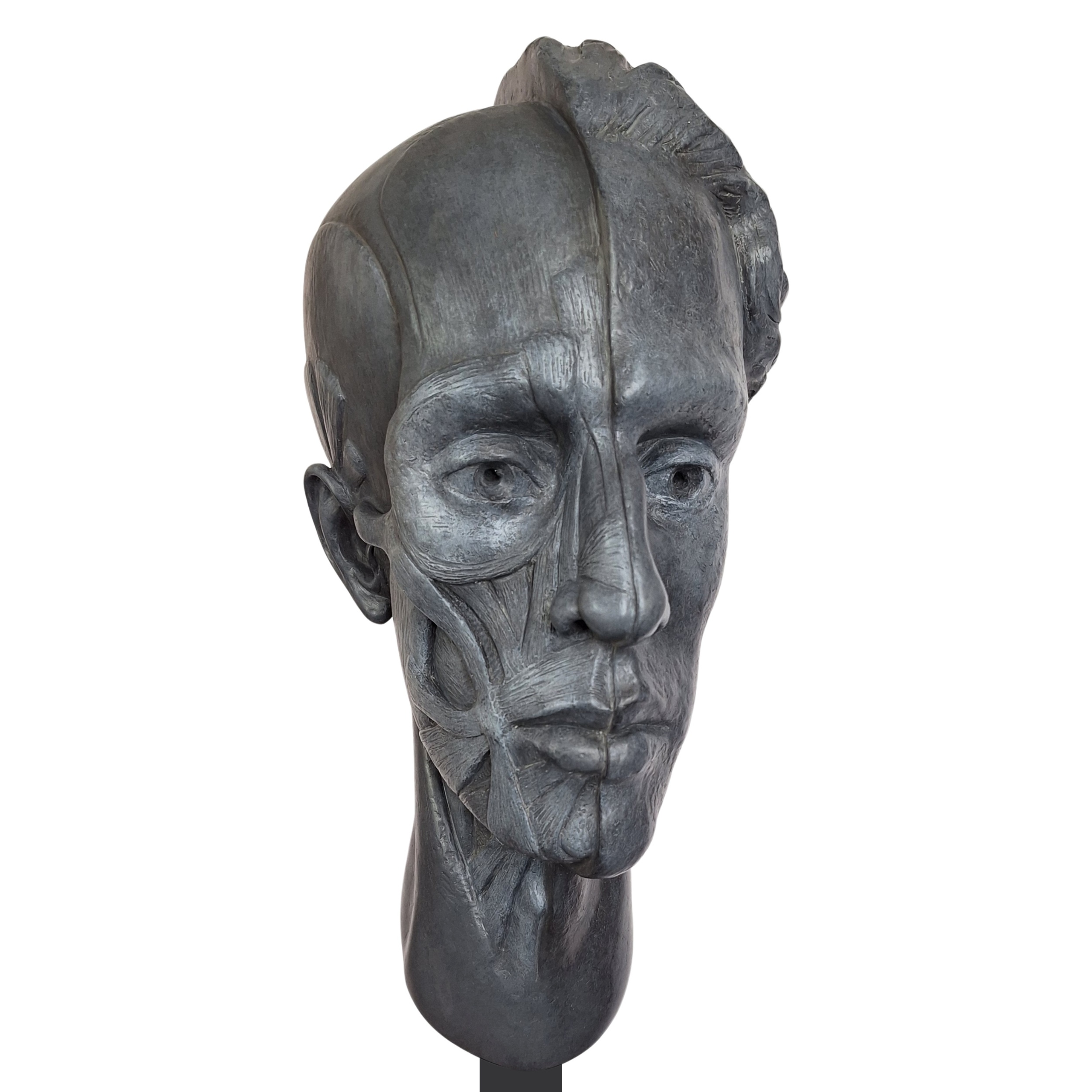 Adam - The Mechanics of Origin